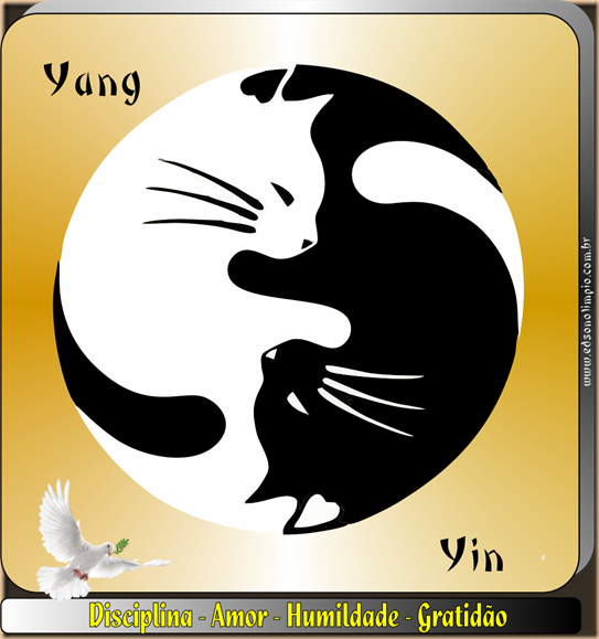 Yin - Yang - Gatos